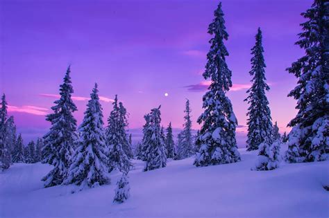 Download Magnificent Winter Landscape Wallpaper
