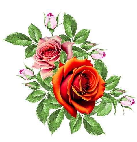 Hermoso El Ramo De Flores De Rosas Rojas De La Naturaleza Png Ramo De