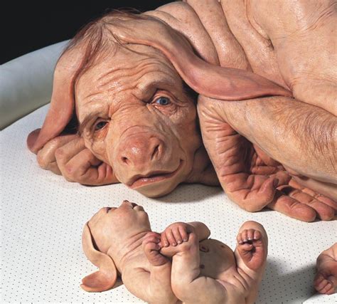 Wann werde ich endlich geimpft? Hybrid Tiere werden Wirklichkeit US-Forscher haben Schwein ...