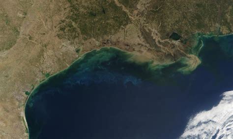 Ask An Expert Reviving The Gulf Of Mexicos Dead Zone Union Of