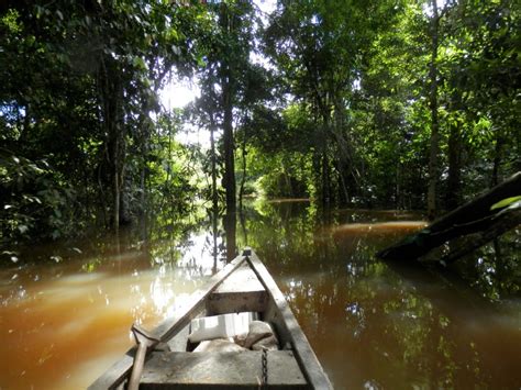 Amazon Rainforest Tours Tailor Made By Local Experts Sumak