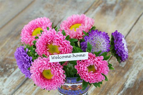 Welcome Sign With Purple Flowers Stock Photos Pictures And Royalty Free