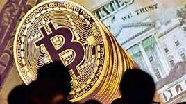 Cryptocurrency crimes to be stopped-Industry Global News24