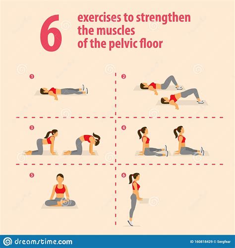 Exercises To Strengthen The Muscles Of The Pelvic Floor Stock