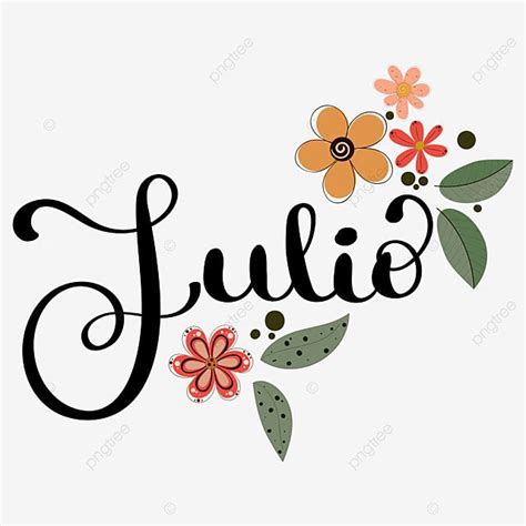 hola mes de julio letras de texto a mano decoradas con flores y hojas png dibujos hola julio