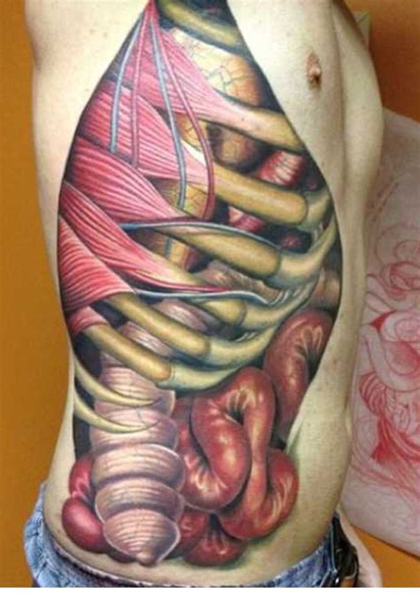 What works for me is having a bottle of gatorade rain and 2 banannas. Organs rib cage tattoo | Tatouage, Chef d oeuvre
