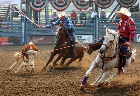 Team Roping One Day I Will Do This Team Roping Roping Horse