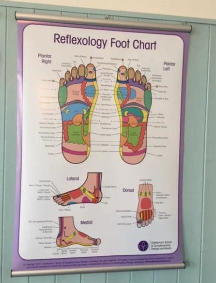 Reflexology Foot Chart Poster New Cheltenham Reflexology