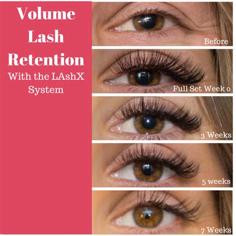 How Long Can Volume Lashes Really Last Between Fills Lashxpro