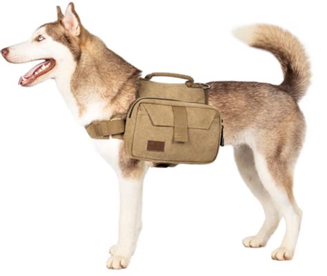 10 Best Dog Hiking Backpacks Saddle Bags For Dogs Dogs Hiking Gear