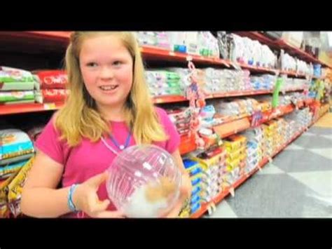 So let me pass down my hamster knowledge. Hamster Derby at Petco 2011 - YouTube