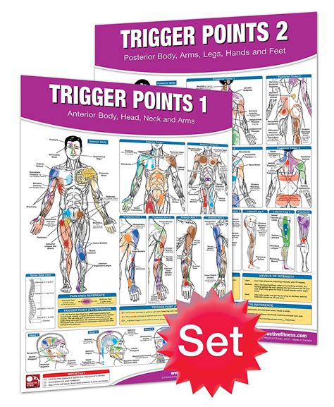 Buy Trigger Points I And Ii Laminated Chartposters In Cheap Price On