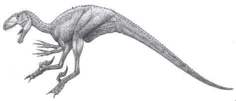 Noasauridae Wiki Prehistórico Fandom Powered By Wikia