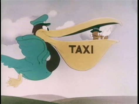 Cartoon Of Flying Pelican Taxi Stock Footage Video 100