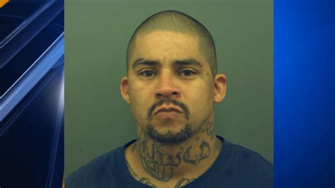 sex offender arrested by the el paso county sheriff s office