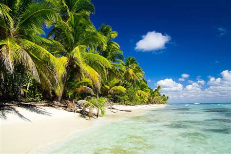 Photo Wallpaper The Deserted Island