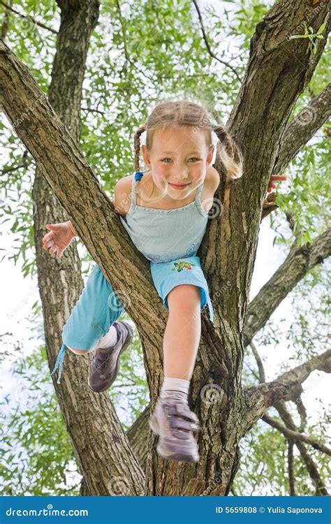 Girl Is Climbing On A Tree Stock Photo Image Of Acrobatics 5659808