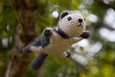 35 photos of momonga dwarf flying squirrels. Crochet Momonga … aka Japanese Dwarf Flying Squirrel ...