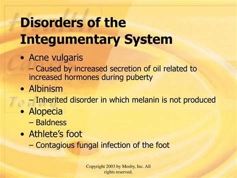 Ppt Chapter 9 Integumentary System Powerpoint Presentation Free