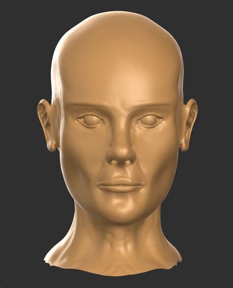Human Head 3d Model 6 Unknown Obj Fbx Blend Oth Free3d
