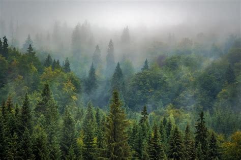 Mount Hood National Forest Oregon Strikingly Beautiful Landscapes Hrv