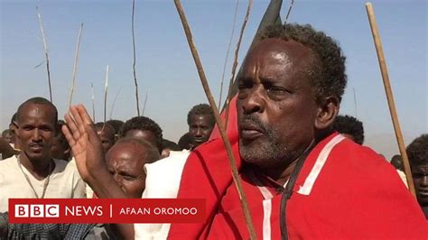 Aadaa Oromoo Eebba Oromoo Karrayyuu Bbc News Afaan Oromoo