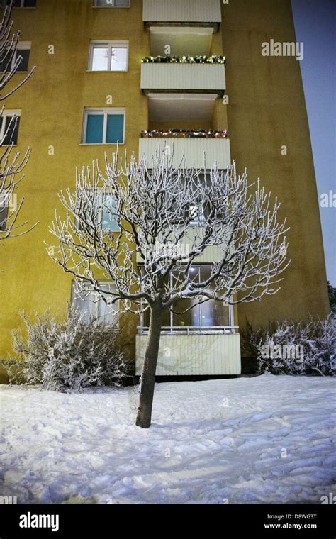 Frosted Tree Against Apartment Building Stock Photo Alamy