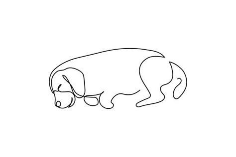 Dog Lying Down Drawing