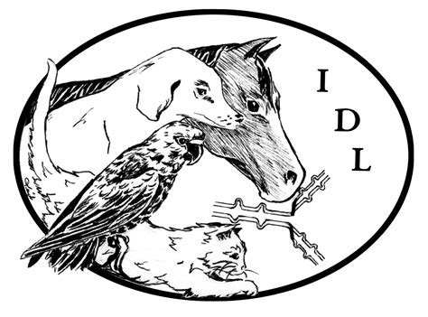 Some of the coloring page names are 10 images about craft ideas outdoor water games on, bulldog drawing pictures at getdrawings, georgia bulldogs bulldog georgia, bulldog coloring pictures coloring home, nederland high school bulldog images, georgia bulldogs coloring at, georgia bulldogs coloring at, nederland high school bulldog. Uga Drawing at GetDrawings | Free download