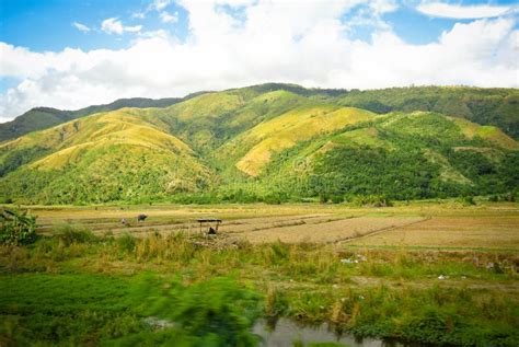 Sierra Madre Mountain Range Stock Image Image Of Paddies Rice 41091119