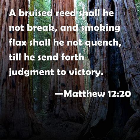 Matthew 1220 A Bruised Reed Shall He Not Break And Smoking Flax Shall