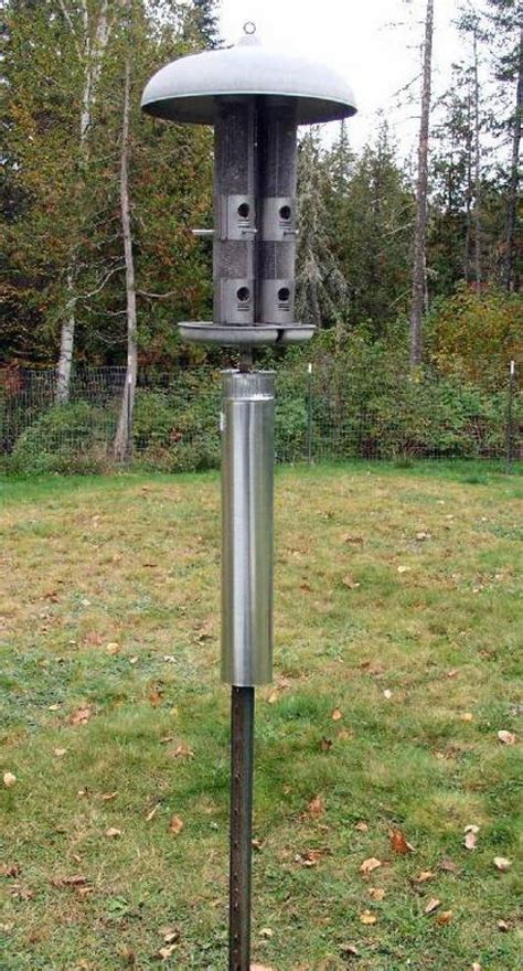 Premium bird feeding station kit in antique bronze by gardman. Bird Feeder Pole Baffle (With images) | Bird feeder baffle ...