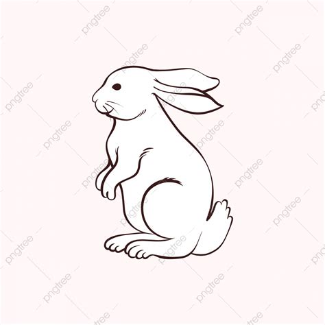 Top 999 Rabbit Drawing Images Amazing Collection Rabbit Drawing