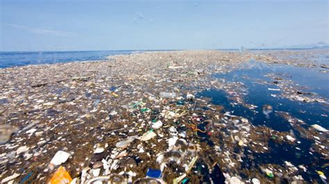 Bagaimana Cara Nak Membersihkan Sampah Di Dalam Laut