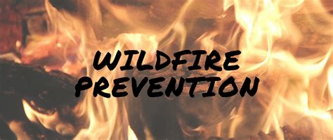 Tread Lightly Quick Tips On Preventing Wildfires