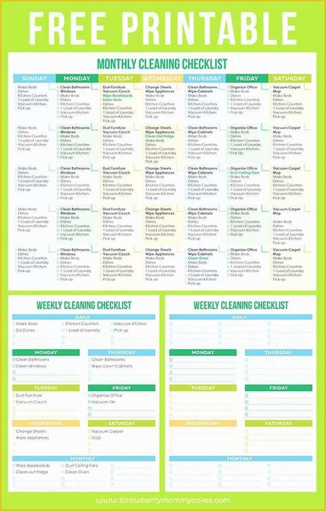 Free Professional House Cleaning Checklist Template Of The Best Free