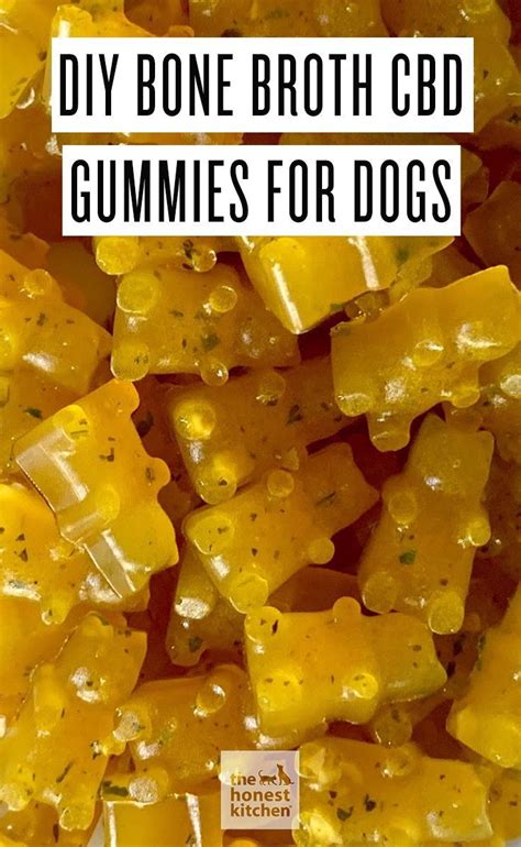 There are 45 suppliers who sells pet treat recipes on alibaba.com, mainly located in asia. Pet Bone Broth CBD Gummies for Dogs | The Honest Kitchen ...