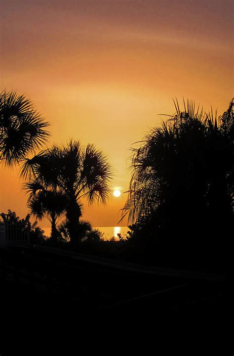 Setting Sun In Paradise Photograph By David Choate Fine Art America