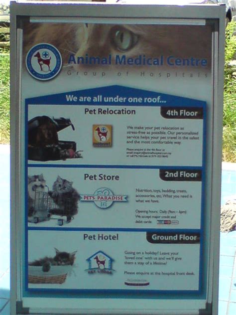 Haines city pet hospital is a full service animal veterinary and welcomes both emergency treatment cases as well as pet patients in need of dra martinez and dr suarez have years of experience treating serious conditions and offering regular pet wellness care. Pet Crazee: 24 hour pet hospital