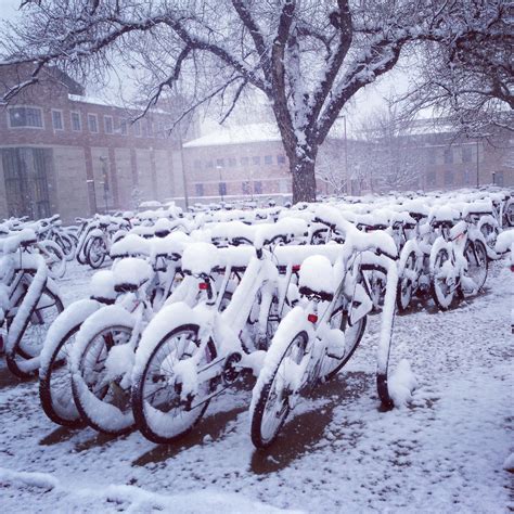 University Of Colorado At Boulder Campus On A Snowy Day In April