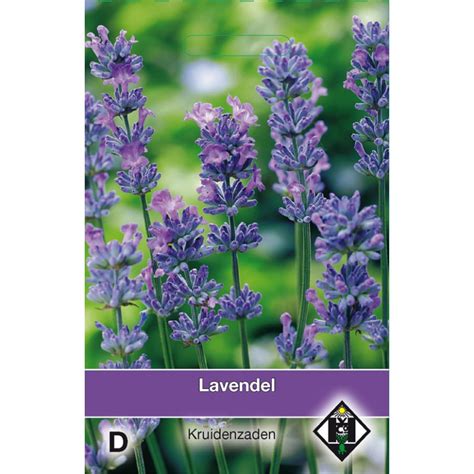 Lavendel Lavandula Seeds