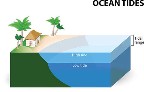 Because of their configuration and that of the coastal seafloor, coastlines see greater tidal ranges. Royalty Free Tide Clip Art, Vector Images & Illustrations ...