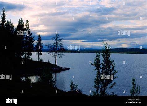 Swedish Forest Lake In Midnight Sun Laksjoen At The Polar Circle In