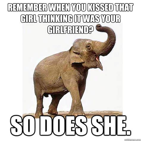 30 Most Funny Elephant Meme Pictures And Photos