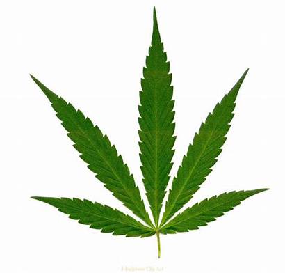 Joint Weed Cliparts Marijuana Clipart Clipartmag