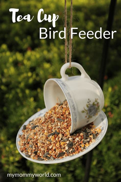 Check out our diy tea cups selection for the very best in unique or custom, handmade pieces from our shops. Tea Cup Bird Feeder Craft