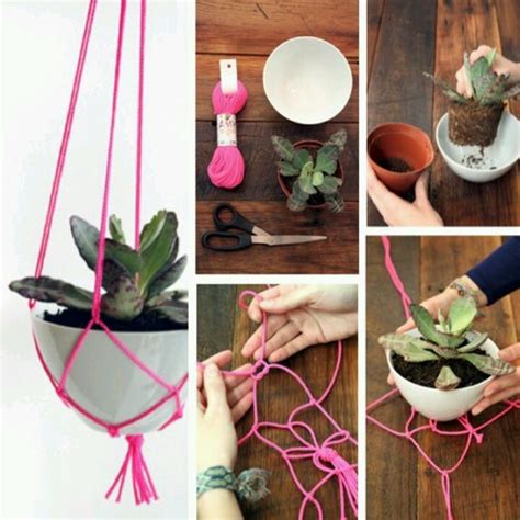 Diy Hanging Basket Spring Has Sprung Pinterest