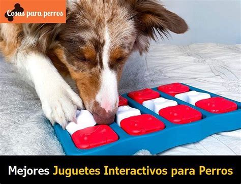 ⊛ Mejores Juguetes Interactivos Para Perros Guía