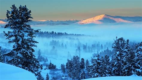 Download Wallpaper 1920x1080 Mountain Light Snow Fog Fir Trees