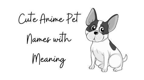 Top 60 Cute Anime Pet Names With Meaning My Name Guide